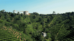 中80户为留守妇女